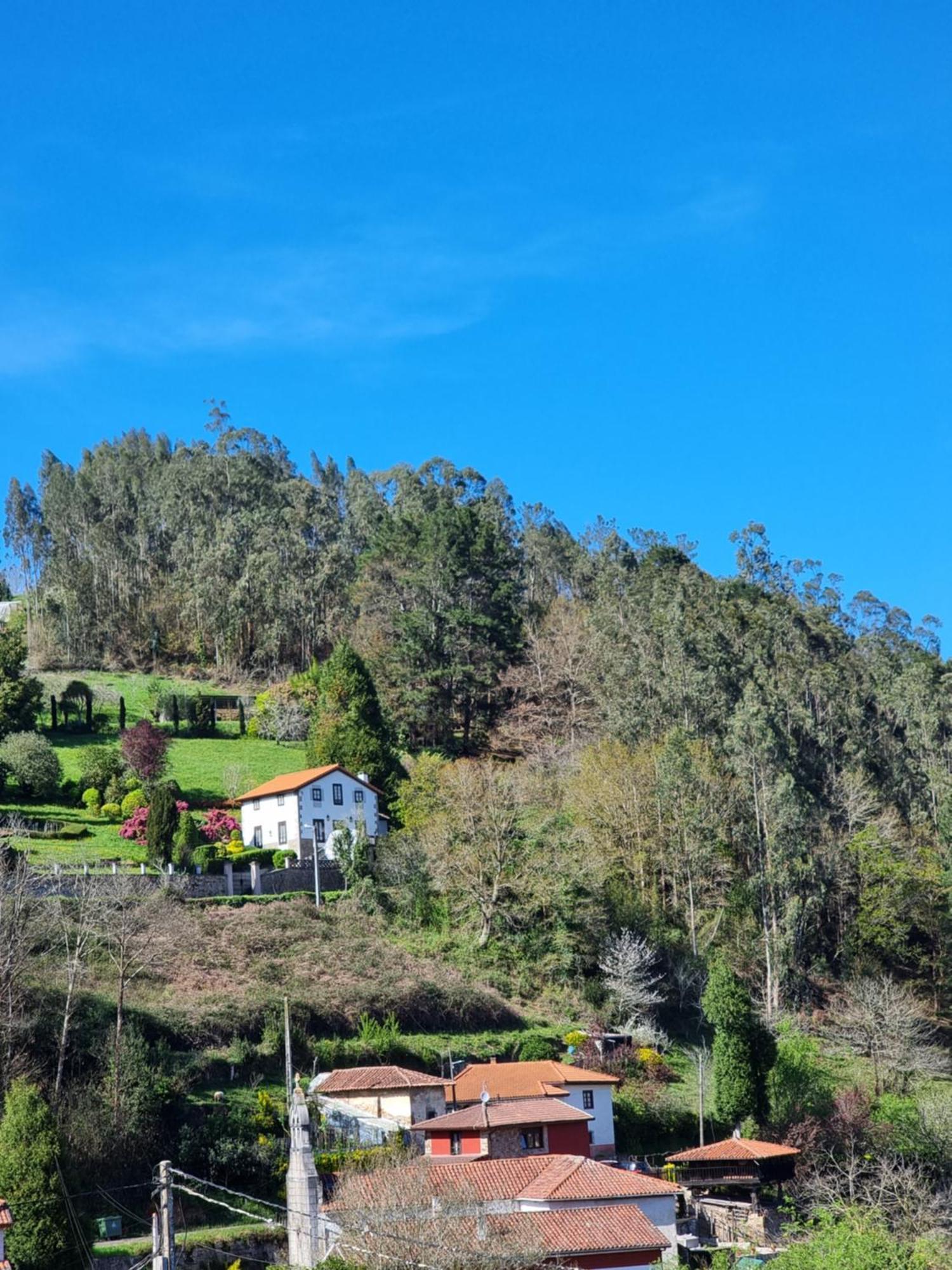 Apartamentos Rurales Corias Kültér fotó